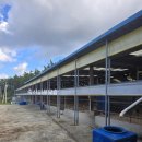 야곱농장 이미지