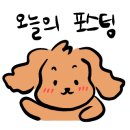 알라딘펫 이미지