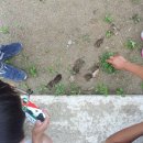 은척초등학교 무릉분교 이미지