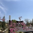 사유원 매일신문