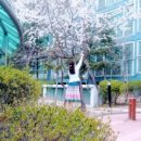 당구 (100이상) 이미지