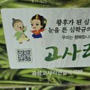 곡성-038 Daum카페