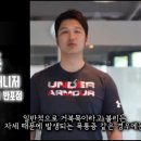 휴짐나지움 이미지