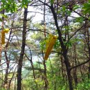 대구 법이산 봉수대 이미지