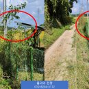 서산 태양광발전소 이미지