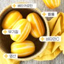 다혜농장 이미지