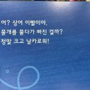 자연전집 이미지