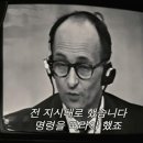 벌떼들 티스토리