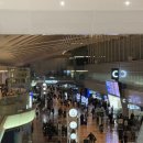 851 | ANA 비즈니스 B787-8 NH 851 하네다 타이베이 송산 탑승 후기