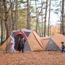 진부(오대산)관광농원 이미지