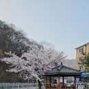 GS25 광주텃골점 이미지