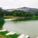 살구골낚시터 이미지