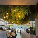 박성환 돈까스 이미지