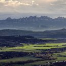 목동서로4길 이미지