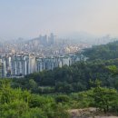 개미행정사 네이버블로그