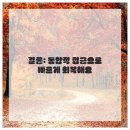 플러스정형외과의원 네이버블로그