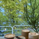 매산길 | 순천 분위기와 커피맛까지 완벽한 다시 가고 싶은 카페 쉐어(cafeshare)내돈내산 솔직 후기