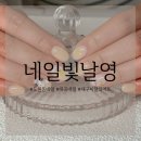 [대구/달서구] 도원동 네일 샵 “네일빛날영” 이달의 아트 후기