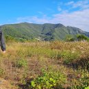 작원관지길 이미지