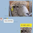 유일양꼬치