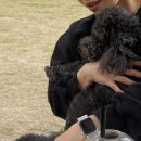 타타스베이글 평택용이점 이미지