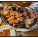 서해쭈꾸미 이미지