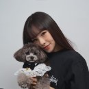 스튜디오집 이미지