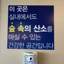 카페써드포레스트