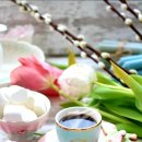 오늘의 쿡 이미지