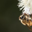 gc-camera-024 이미지