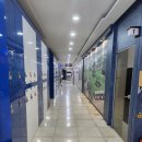 킹덤스포렉스 이미지