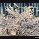 판교삼성정신건강의학과의원 이미지