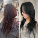 매트블랙헤어 네이버블로그