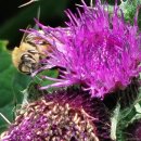 이천생태공원 이미지