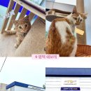 한국지엠평택지정서비스