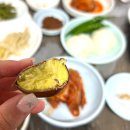 일영능이버섯백숙빨간지붕 | 담양 한재골 백숙 맛집 평장식당, 능이백숙 여기가 찐이네