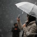 눈을담다 이미지