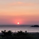 삼포화이트빌 이미지