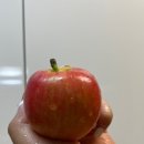 올프레시탕정점 이미지