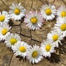 PARK 행정사사무소 이미지