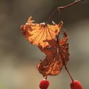 (주)동림수산 | 부안 경지재(敬止齋)