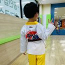 용인대타이곤태권도장 이미지