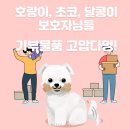 김해반려동물장례식장 아이들이 전해준 기부물품 소개 이미지