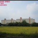 감나무골천 이미지