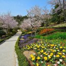 대지원예사 이미지