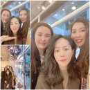 미앤미인셀덤