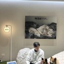 테디 이미지
