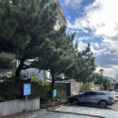 헤이, 서귀포 | 서귀포여행 호텔 추천 :: 헤이 서귀포 디럭스 트윈 오션뷰룸 후기 올레시장 근처 호텔