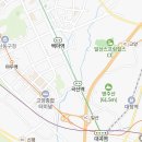 블루클럽화정점