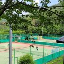 정관체육시설 축구장 이미지